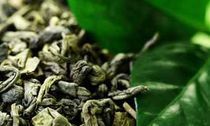 Tipos de chá feitos a partir da Camellia sinensis
